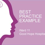 Ward_11_best_practice_example_p1_Page_1